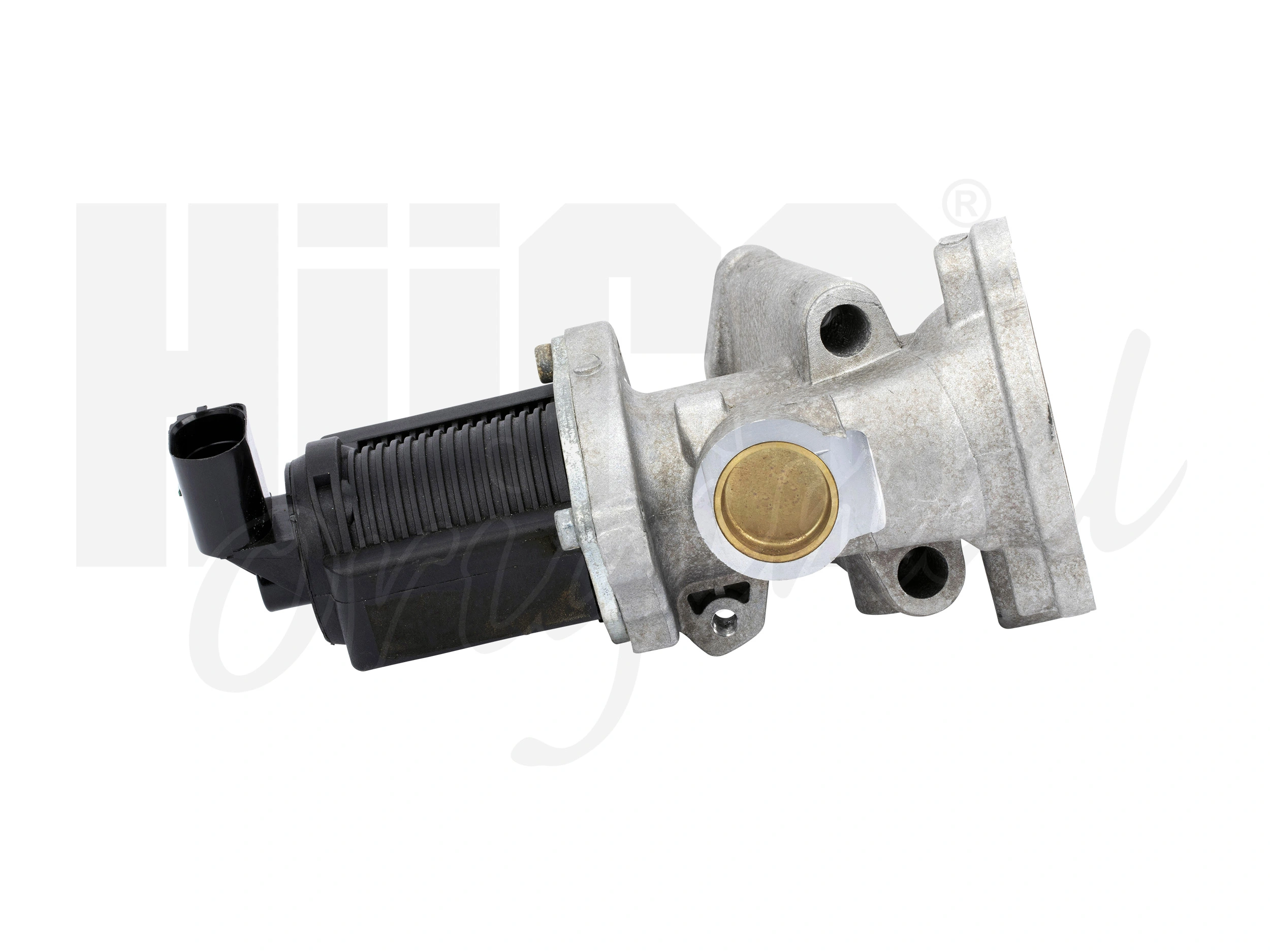 EGR Valve