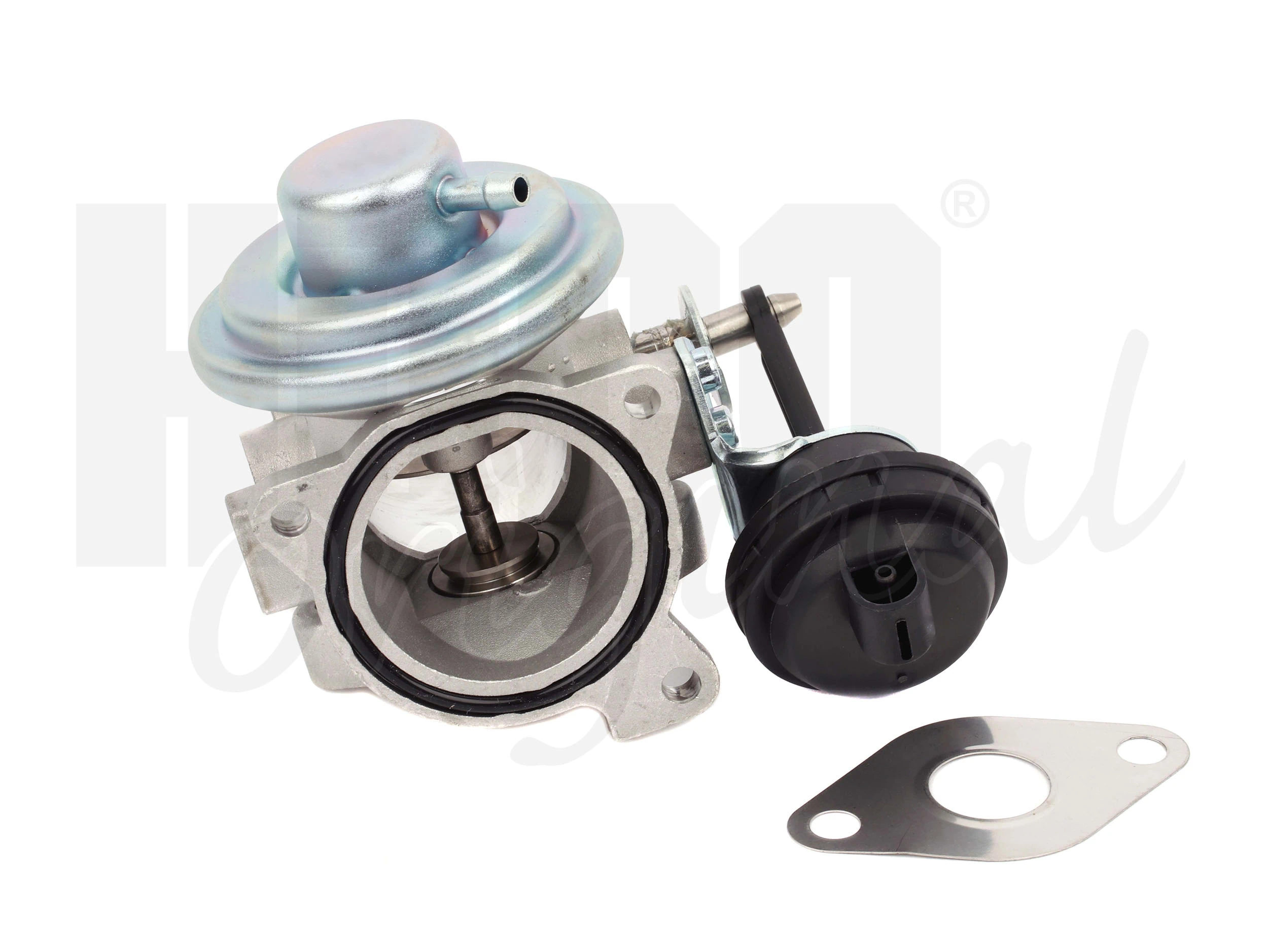 EGR Valve