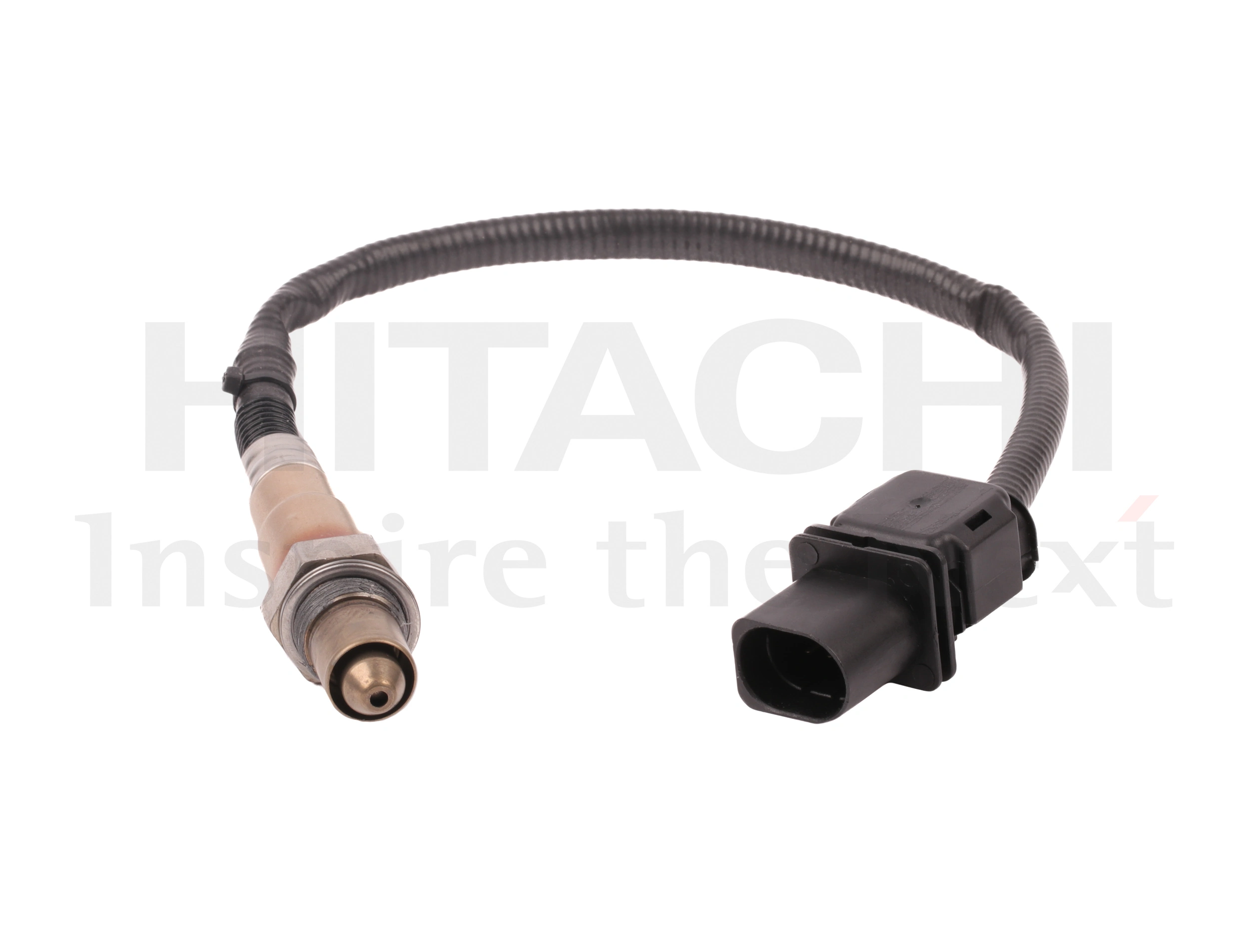 Oxygen Sensor
