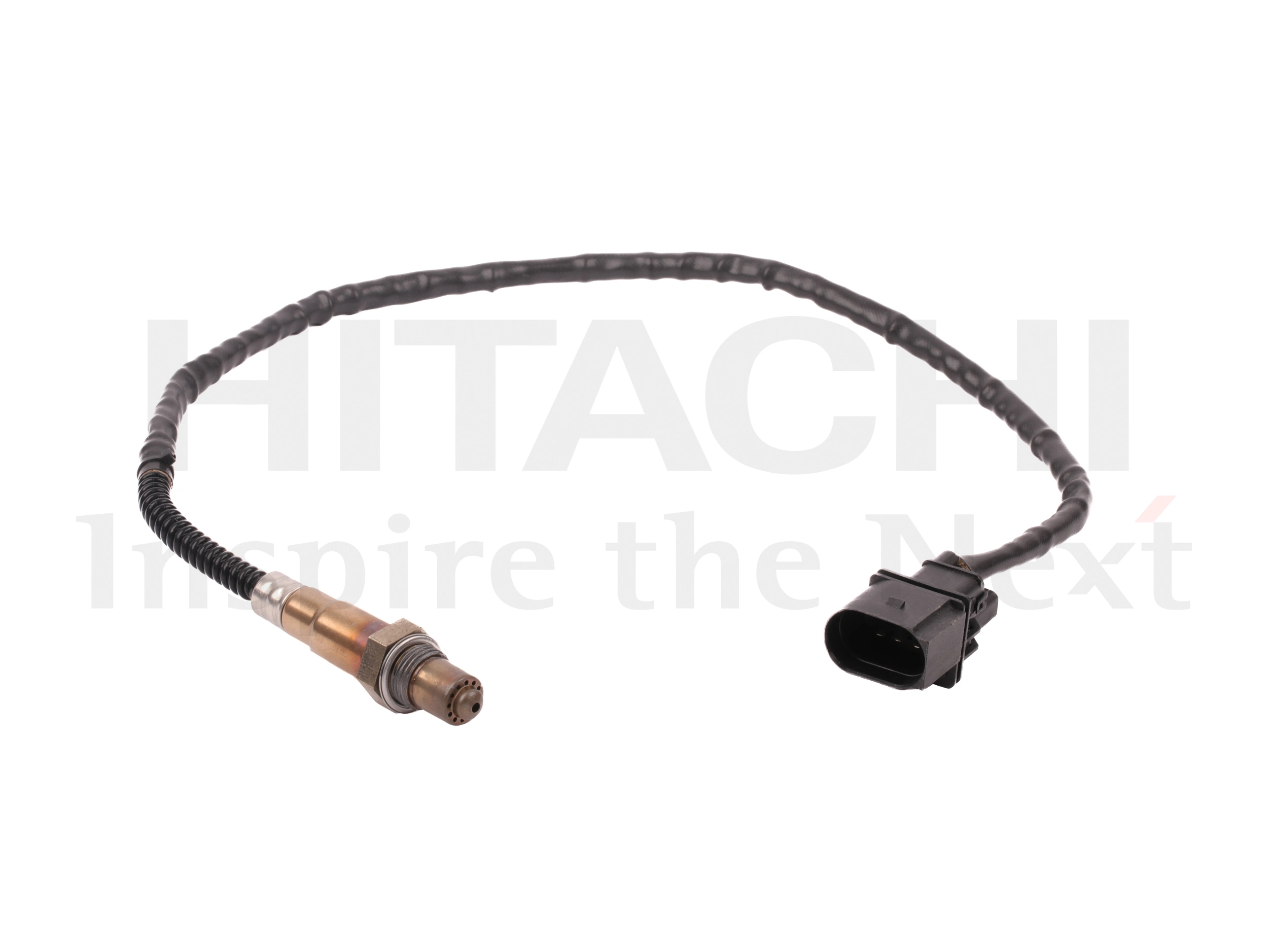Oxygen Sensor