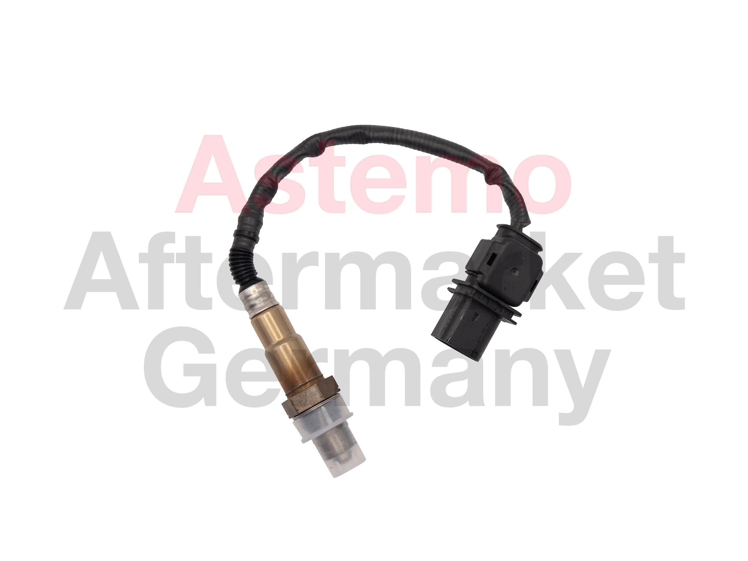 Oxygen Sensor