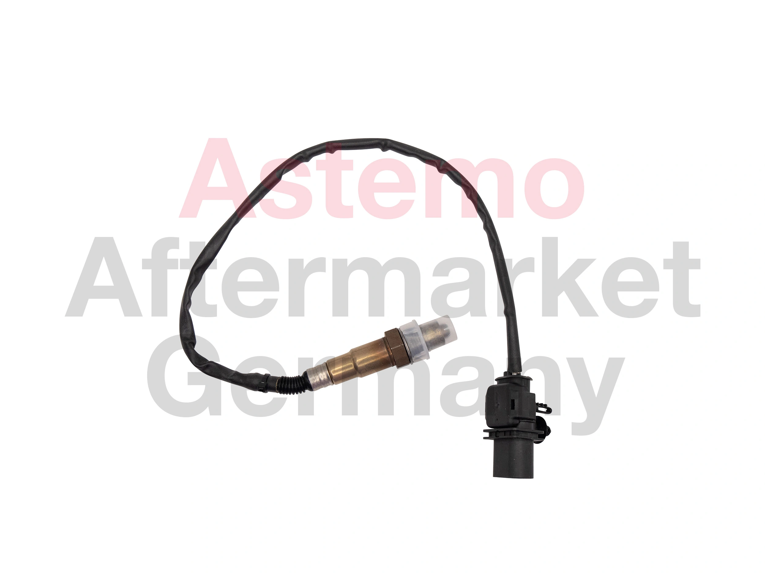 Oxygen Sensor