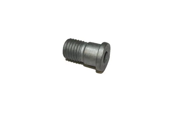 Bolt, brake disc