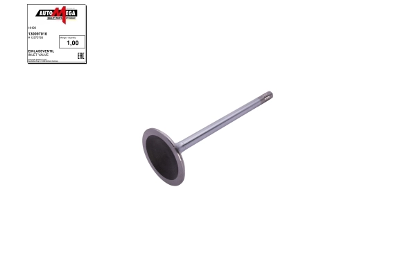 Intake Valve