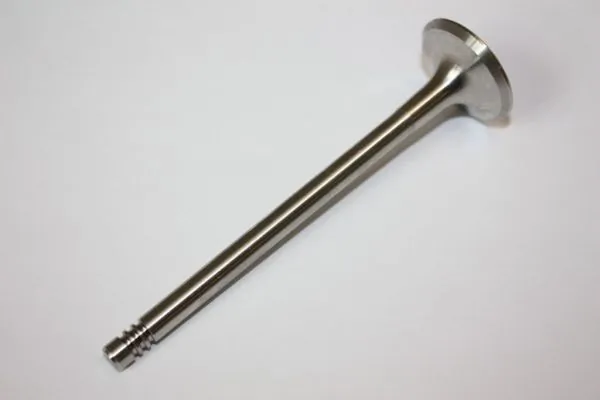 Exhaust Valve