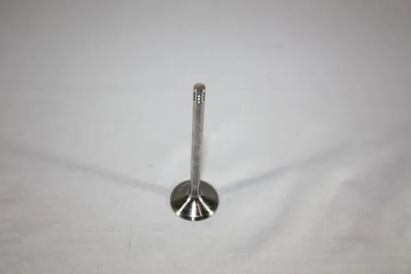Intake Valve