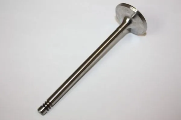 Intake Valve