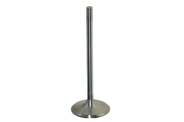 Intake Valve