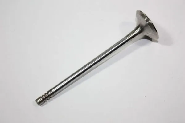 Exhaust Valve