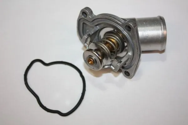 Thermostat, coolant
