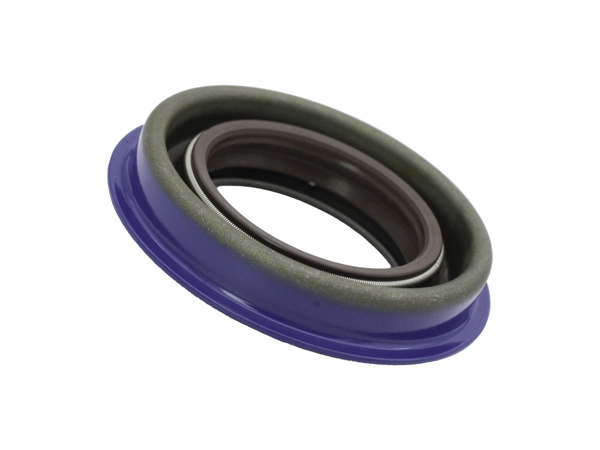 Shaft Seal, differential
