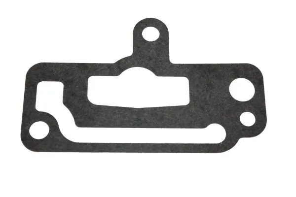 Gasket, coolant flange