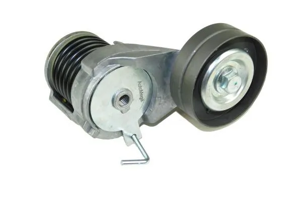 Tensioner Lever, V-ribbed belt