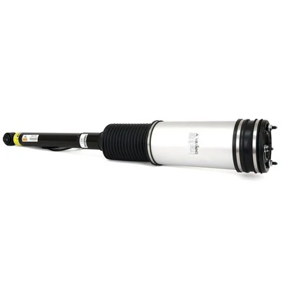 Air Suspension Strut