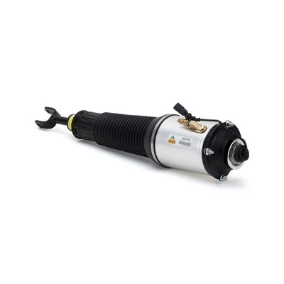 Air Suspension Strut