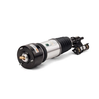 Air Suspension Strut
