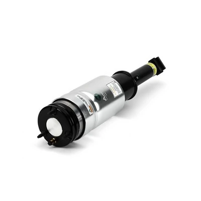 Air Suspension Strut