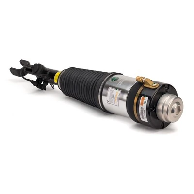 Air Suspension Strut