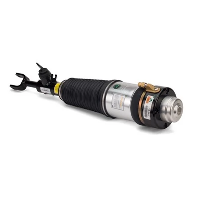 Air Suspension Strut