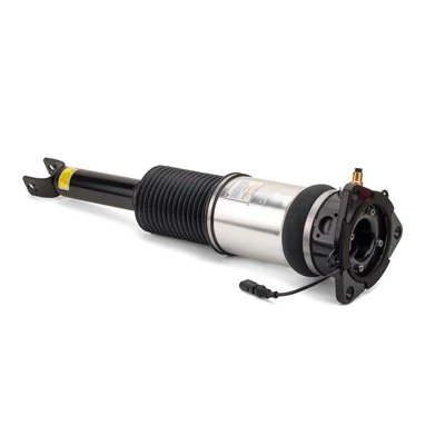 Air Suspension Strut