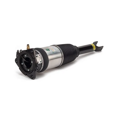 Air Suspension Strut
