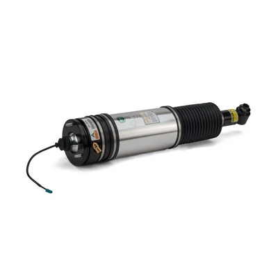 Air Suspension Strut