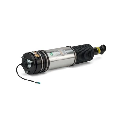 Air Suspension Strut