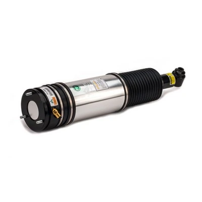 Air Suspension Strut