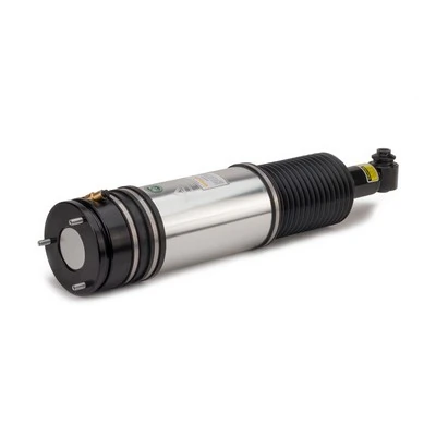Air Suspension Strut