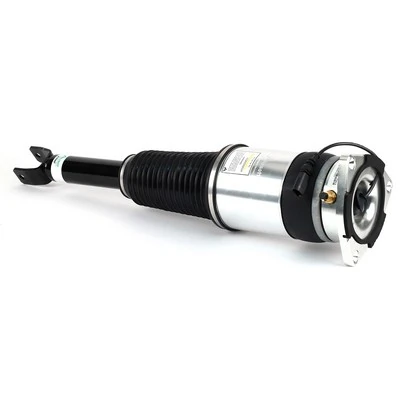 Air Suspension Strut