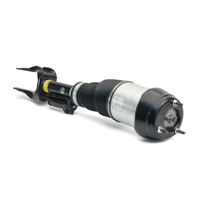 Air Suspension Strut