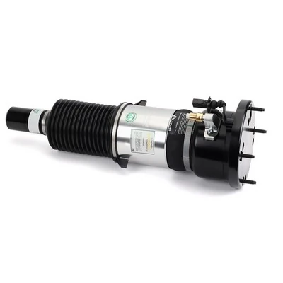Air Suspension Strut