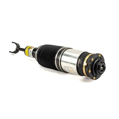 Air Suspension Strut