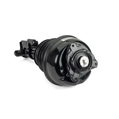 Air Suspension Strut