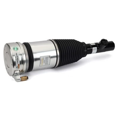 Air Suspension Strut