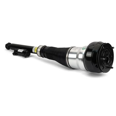 Air Suspension Strut