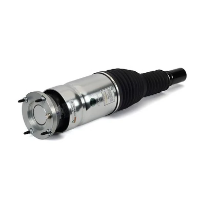 Air Suspension Strut