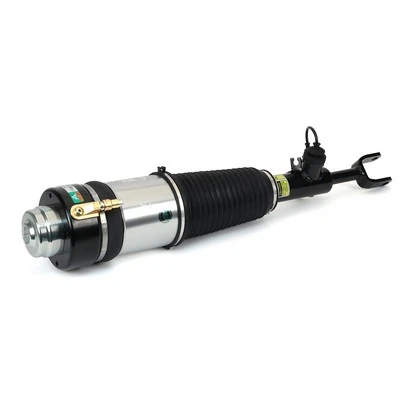 Air Suspension Strut