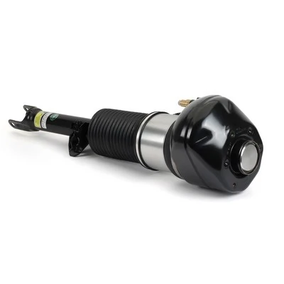 Air Suspension Strut