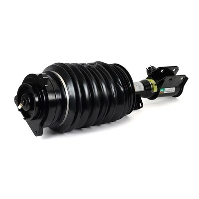 Air Suspension Strut
