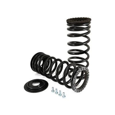 Suspension Set, springs