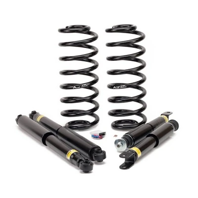 Suspension Kit, springs/shock absorbers