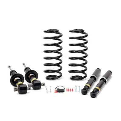 Suspension Kit, springs/shock absorbers