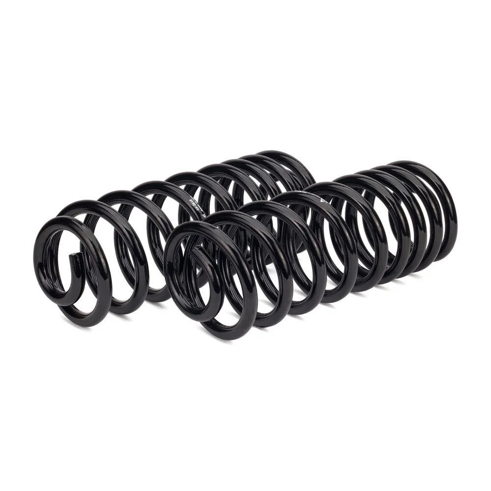 Suspension Set, springs