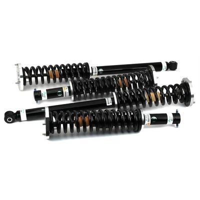 Suspension Kit, springs/shock absorbers
