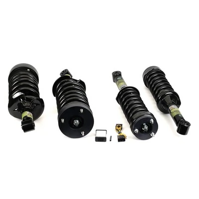 Suspension Kit, springs/shock absorbers