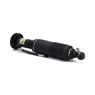 Air Suspension Strut