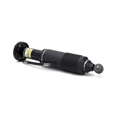Air Suspension Strut