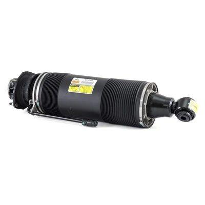 Air Suspension Strut