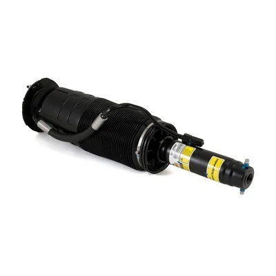 Air Suspension Strut